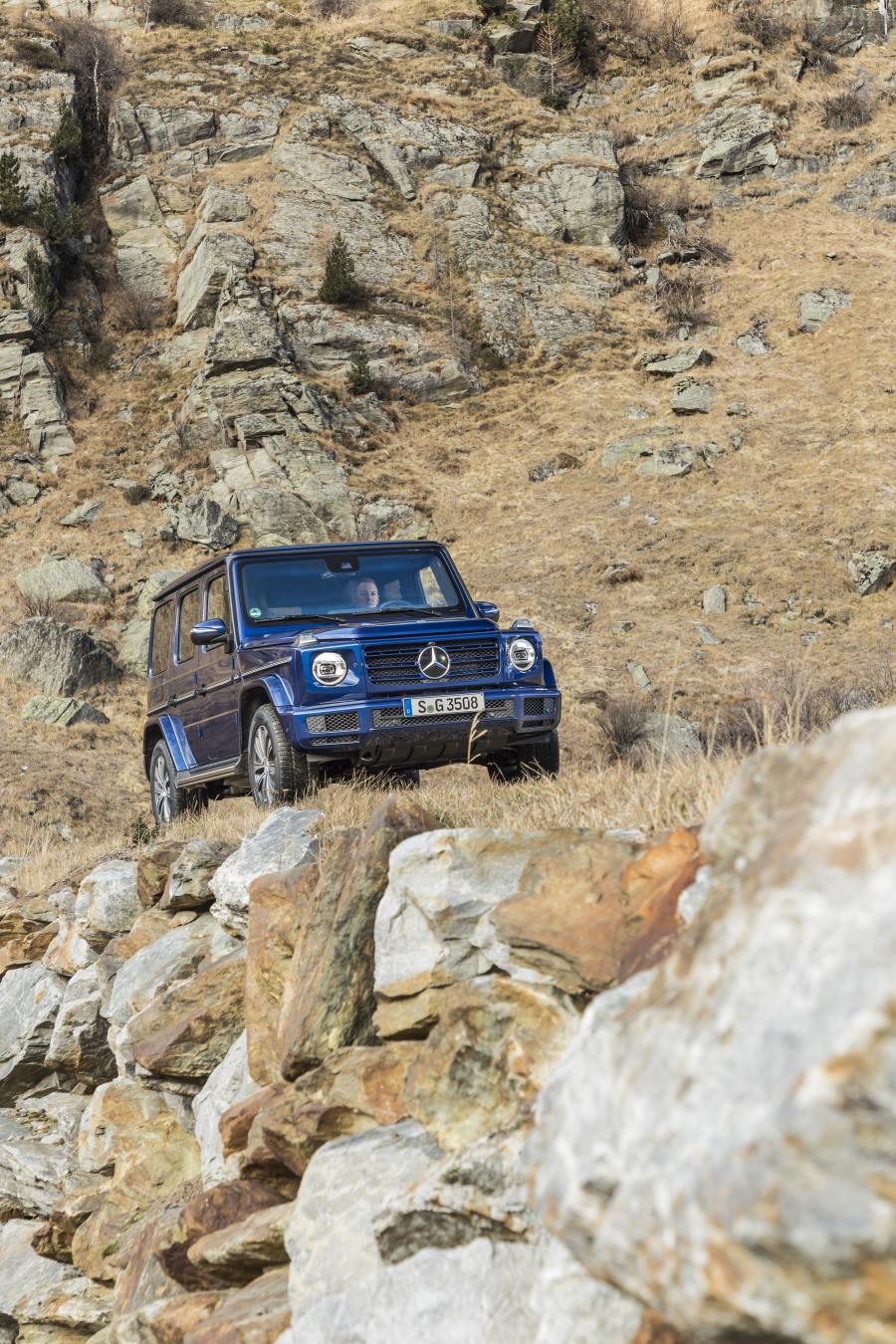  Mercedes-Benz G350 d (W463) 2019 года  (WW) (фото 14 из 41)